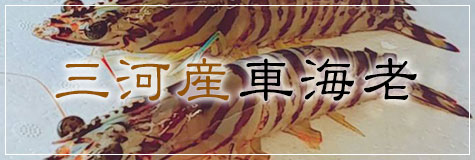 高級鮮魚：三河産車海老