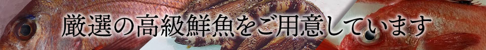 厳選の高級鮮魚をご用意しています